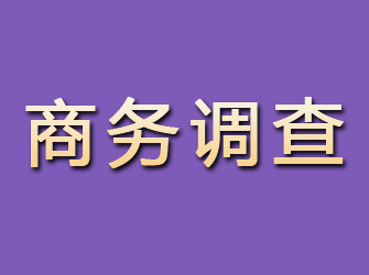 海淀商务调查